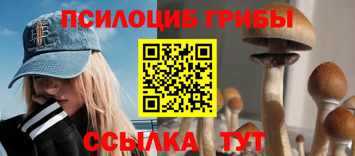 Псилоцибиновые грибы Psilocybe  Вход с VPN  Кингисепп 